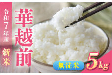 【先行予約】無洗米 令和7年産 新米 福井市産はなえちぜん 5kg「2025年9月初旬より順次発送」 [A-094013] / ハナエチゼン 華越前 花えちぜん 刈り取り時期 早生 品種 福井県産 新米 令和七年 7年 七年 ご飯 お米 白米 ブランド米 コメ こめ 精米 白米 無洗米 5キロ