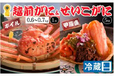 【先行予約】【蟹問屋 越前田村屋 究極の逸品】越前がに（ズワイ） 0.6-0.7kg 1杯 + セイコがに甲羅盛 5個セット  [I-029020]