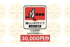 「ふくいはぴコイン」福井市ふるさと納税ポイント【30,000円分】 [J-198005] / 選べる金額 デジタル地域通貨 ホテル 観光 レジャー PAY アプリ オンライン キャッシュレス スマホ ポイント スマホ 便利 簡単 デジタル 支払い 地域通貨 送料無料