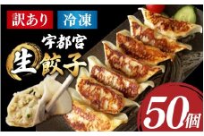 【訳あり】福井のうまい生餃子 50粒【冷凍】 [A-195002] /  ぎょうざ たれ付き もちもちおかず 冷凍 豚肉 国産 送料無料 餃子 ギョウザ 宇都宮 一口 もちもち 国産 50個 タレ タレ付き たれ 