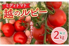 甘くて皮が薄く食べやすい　福井市産ミディトマト『越のルビー』 2kg [A-180003]  / 福井市産 農家直送 とまと トマト フルーツトマト ミニトマト 野菜 やさい 新鮮 産地直送 甘い 完熟 リコピン ビタミン