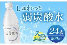 しゅわっと弱炭酸水 [A-030026] / 炭酸 炭酸水 水 微炭酸 24本 1ケース 500ml ペットボトル 飲料水 みず 北陸 飲料 無糖 軟水 ダイエット 福井県 福井市 ウォーター ローヤルさわやか