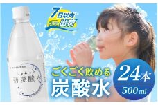 しゅわっと弱炭酸水 [A-030026] / 炭酸 炭酸水 水 微炭酸 24本 1ケース 500ml ペットボトル 飲料水 みず 北陸 飲料 無糖 軟水 ダイエット 福井県 福井市 ウォーター ローヤルさわやか
