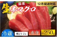 【冷蔵・指定日着可】生本マグロ赤身 約250g 2～3人前 [A-066003] / 国産 まぐろ 鮪 さく 柵どり 冷蔵 真空パック ヘルシー 2人前 3人前 新鮮 刺身 丼