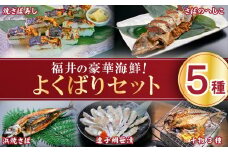 [007-b001_A] 越前 若狭 福井のおいしいよくばりセット【家飲み ごはんの友 おかず おつまみ 冷蔵】