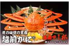 [011-k001] 越前かに(R) 釜ゆで 約600g〜750g 1杯