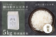 [003-a001-A] 順次発送 令和7年産 新米 ★ 福井県産 特別栽培米 『コシヒカリ』5kg (単一原料米) ＜数量限定＞【山羊と育てた 福井のおいしいお米 お米 米 コメ 白米 精米 棚田米 ごはん ご飯 国産 北陸産 ブランド米 5kg 5キロ】