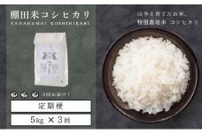 [003-t3-a001] 定期便 ≪3ヶ月連続お届け≫ 福井県こだわり米登録！令和6年産 棚田の特別栽培米コシヒカリ 5kg × 3回（計15kg）【 お米 ご飯 お取り寄せ ブランド こしひかり 】