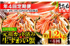 [001-t002] 定期便 ≪年4回お届け≫ ますよね商店 大人気商品 元祖カット済 生ずわい蟹 約1.2kg【 増米 ますよね 敦賀 かに カニ 蟹 ズワイガニ ずわいがに ずわい蟹 ズワイ蟹 ずわい ズワイ 刺し身 生 生食 生食可 大 しゃぶしゃぶ  】