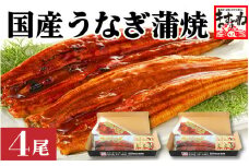 [001-b002] ふっくら焼き上げ！国産うなぎ蒲焼き4尾セット【増米 ますよね うなぎ ウナギ 鰻 化粧箱入り ギフト 贈答  贈り物 プレゼント のし 熨斗 冷凍 蒲焼 かば焼き ふんわり ふっくら仕上げ お中元 御中元 ギフト 贈り物 プレゼント】
