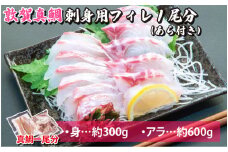 [041-a006] マダイ 敦賀真鯛 お造りセット【海鮮 冷凍 刺身 しゃぶしゃぶ 南蛮漬け 煮つけ 塩焼き 炊き込み】