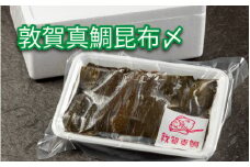 [041-a008] 鯛 敦賀真鯛 昆布〆（鯛身 約350g）【タイ マダイ 海鮮 冷凍 昆布締め 酒の肴】