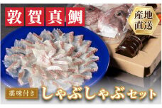 [041-c006] 真鯛 敦賀真鯛 しゃぶしゃぶセット 【海鮮 マダイ 鯛しゃぶ 鍋 なべ】