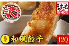 [001-a014] 【訳あり】 肉汁溢れる！敦賀和風肉餃子 120個入り！【敦賀 増米 ますよね ぎょうざ ギョウザ 冷凍 総菜 惣菜 点心 焼くだけ 簡単 訳アリ お取り寄せ お中元 御中元 ギフト 贈り物 プレゼント】