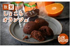 敦賀 しょこらオランジェ 15個 [009-a006]【ショコラ オランジェ オランジュ お中元 ギフト 贈り物 プレゼント】
