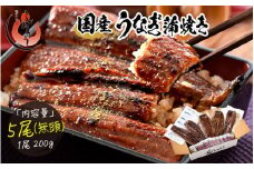 指定日可能 ・着日指定 うなぎ 蒲焼き 無頭 国産 約200g × 5尾【化粧箱入り ギフト 贈答 冷凍 蒲焼 かば焼き ふんわり ふっくら仕上げ ウナギ 鰻 贈り物 プレゼント のし 熨斗 しおそう 塩荘 敦賀 お中元】[053-c003]