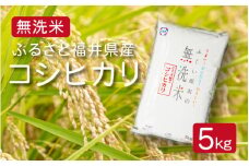 [051-a003] 令和6年度産 無洗米 ふるさと福井県産 コシヒカリ 精米 5kg（無地のし対応可）【米 お取り寄せ ギフト 贈り物お中元 ギフト 贈り物 プレゼント】