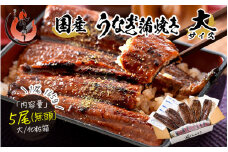 指定日可能 ・着日指定 国産 うなぎ蒲焼き 大サイズ 約165g × 5尾【ウナギ 鰻 化粧箱 ギフト 贈答 冷凍 蒲焼 かば焼き ふんわり ふっくら仕上げ ウナギ 鰻 贈り物 プレゼント のし 熨斗 しおそう 塩荘 敦賀 お中元】[053-c005] 