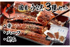 指定日可能 ・着日指定 国産 うなぎ セット 合計約295g（約165g × 1尾・刻みうなぎ・カットうなぎ）【ウナギ 鰻 ギフト 贈り物 プレゼント 化粧箱入り 贈答 冷凍 蒲焼 かば焼き ふんわり ふっくら仕上げ のし 熨斗 しおそう 塩荘 敦賀 お中元 】[053-a010] 