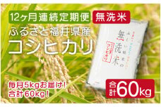 [051-k001] 定期便 ≪12ヶ月連続お届け≫無洗米 ふるさと福井県産 コシヒカリ 5kg × 12回（計60kg）【米 ご飯 ご当地 お取り寄せ ブランド】