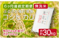 [051-f002] 定期便 ≪6ヶ月連続お届け≫ 無洗米 ふるさと福井県産 コシヒカリ 5kg × 6回（計30kg）【米 ご飯 ご当地 お取り寄せ ブランド】