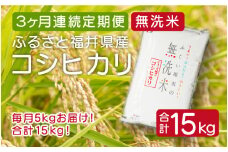 [051-c005] 定期便 ≪3ヶ月連続お届け≫ 無洗米 ふるさと福井県産 コシヒカリ 5kg × 3回（計15kg） 【米 ご飯 ご当地 お取り寄せ ブランド】