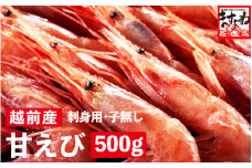 [001-a019] 福井県産 越前甘えび小サイズ 500g (約50匹前後)【 増米 ますよね 敦賀 甘エビ えび エビ 海老 冷凍 急速冷凍 お中元 御中元 ギフト 贈り物 プレゼント】