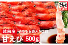 [001-a021] 福井県産 越前子持ち甘えび 500g【 増米 ますよね 敦賀 甘エビ えび エビ 海老 冷凍 急速冷凍 お中元 御中元 ギフト 贈り物 プレゼント】