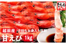 [001-a022] 福井県産 越前子持ち甘えび 500g × 2パック（計1kg）【 増米 ますよね 敦賀 甘エビ えび エビ 海老 冷凍 急速冷凍 お中元 御中元 ギフト 贈り物 プレゼント】