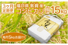 （数量限定）定期便 ≪3ヶ月連続お届け≫ 敦賀産 コシヒカリ 5kg × 3回（計15kg）【米 ご飯 ご当地 お取り寄せ ブランド】[051-c006] 