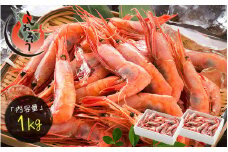 福井県敦賀産甘えび・子持ち中サイズ約1kg(約80尾) 数量限定【 塩荘 しおそう 敦賀 甘エビ えび エビ 海老 冷凍 急速冷凍 お中元 ギフト 贈り物 プレゼント】[053-a025] 