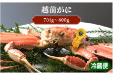 [076-l001] 越前がに × 1杯（茹で前重量：701g〜800g）【2024年11/11～1月下旬にて順次発送予定】【お届けできない時期：12月上旬〜翌年1月上旬】【雄 ズワイガニ ずわいがに 姿 かに 蟹 】