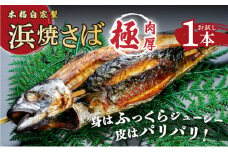 【越前若狭名物】丸ごと浜焼きさば 1本入り 肉厚食べ応え抜群！＜数量限定＞【魚介類 鯖 焼き鯖 さば おつまみ 酒の肴 冷蔵 ご当地グルメ ギフト 贈り物】[007-a002] 