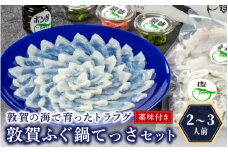 ＜先行予約＞【11月発送】敦賀ふぐ鍋てっさ セット（2～3人前）【冷蔵 感謝祭 】[041-c007-11]