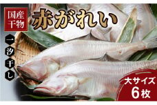 【国産】干物 赤がれい 一汐干し 大サイズ 6枚セット ＜数量限定＞【福井県産 かれい カレイ 干物 一夜干し 魚介類 小分け 個包装 詰め合わせ 無添加 保存料・着色料不使用】[007-a007] 