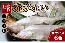 【国産】干物 赤がれい 一汐干し 大サイズ 6枚セット ＜数量限定＞【福井県産 かれい カレイ 干物 一夜干し 魚介類 小分け 個包装 詰め合わせ 無添加 保存料・着色料不使用】[007-a007] 