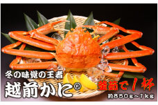 [011-l002] 越前かに(R) 釜ゆで 約850g〜1kg  1杯
