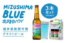 クラフトビール MIZUSHIMA BLUE 北陸のハワイ 3本セット【ビール クラフト お酒 発泡酒 お中元 お歳暮 ギフト 贈り物 プレゼント】[046-a001]