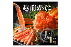 【期間限定・数量限定】タグ付き 越前がに 大サイズ（ボイル前1kg前後）1杯【敦賀 越前蟹 カニ 蟹 ズワイガニ ズワイ蟹 海鮮 かに鍋 かにしゃぶ 】[090-a004]