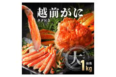 【期間限定・数量限定・先行予約】タグ付き 越前がに 大サイズ（ボイル前1kg前後）1杯【敦賀 越前蟹 カニ 蟹 ズワイガニ ズワイ蟹 海鮮 かに鍋 かにしゃぶ 】[090-a004]