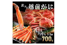 【期間限定・数量限定・先行予約】【訳アリ】越前がに 中小サイズ 700g【敦賀 越前蟹 カニ 蟹 ズワイガニ ズワイ蟹 海鮮 かに鍋 かにしゃぶ 】[090-a006]