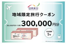 福井県敦賀市 日本旅行 地域限定旅行クーポン 300,000円 [017-a007]【敦賀市ふるさと納税】