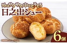[009-a013] 小堀日之出堂 日之出シュー 6個入り【シュークリーム クッキーシュー クッキーシュークリーム 洋菓子】