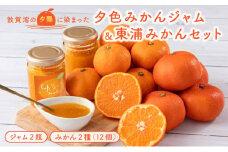 【先行予約】夕色みかんジャム 2瓶&東浦みかん2種のセット【発送期間：2025年11月20日～2026年01月15日】【ジャム みかんジャム みかん 東浦みかん】[089-a001]
