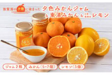 【先行予約】夕色みかんジャム × 2瓶・東浦みかん1種（5~7個）とレモン（3個）セット【発送期間：2025年11月20日～2026年01月15日】【ジャム みかんジャム みかん 東浦みかん レモン】[089-a002]