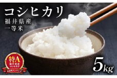 先行予約 / 数量限定【令和7年産 新米】福井県産 コシヒカリ 一等米 5kg ＜10月中旬以降順次発送予定＞【米 コメ お米 ブランド米 白米 精米 こしひかり 国産 北陸 5kg 10kg ご飯 ごはん 小分け 家庭用 ふるさと納税米】[101-a001]
