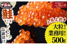 ★250gあたり8,000円★大粒 鮭いくら 醤油漬け 500g 着日指定可能【甲羅組 いくら イクラ さけいくら 魚卵 海鮮】[024-a055]