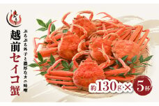 [053-a050] 【先行予約】＜ 期間限定・数量限定 ＞ 越前 セイコ蟹 約130g × 5杯 セット【冷蔵】【敦賀 塩荘 しおそう 越前ガニ せいこ蟹 カニみそ お取り寄せ】