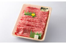 三ツ星 若狭牛 ロース または 肩ロース スライス 550g｜牛肉 和牛 焼肉 若狭牛お肉 肉 肉セット 冷凍 550g ブランド牛 牛丼 炒め物 三ツ星牛 三ツ星 ギフト 贈答   【配送不可地域：北海道・沖縄・離島】  [BFAP005] 