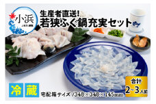 【着日指定可能】【冷蔵でお届け】 若狭ふぐ 鍋 充実セット 2～3人前   小浜市 / 若狭ふぐの宿 下亟 【配送不可地域：北海道・沖縄・離島】  [BFAF008] 